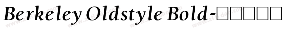 Berkeley Oldstyle Bold字体转换